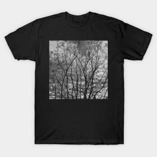 Trees Noir T-Shirt